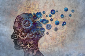 The Relationship Between The Brain And Our Eyes The Relationship Between The Brain And Our Eyes